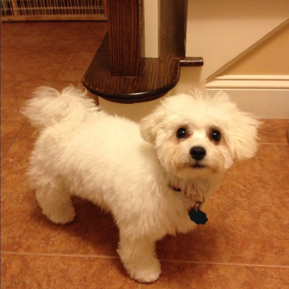 Meet your Posher, Sherry